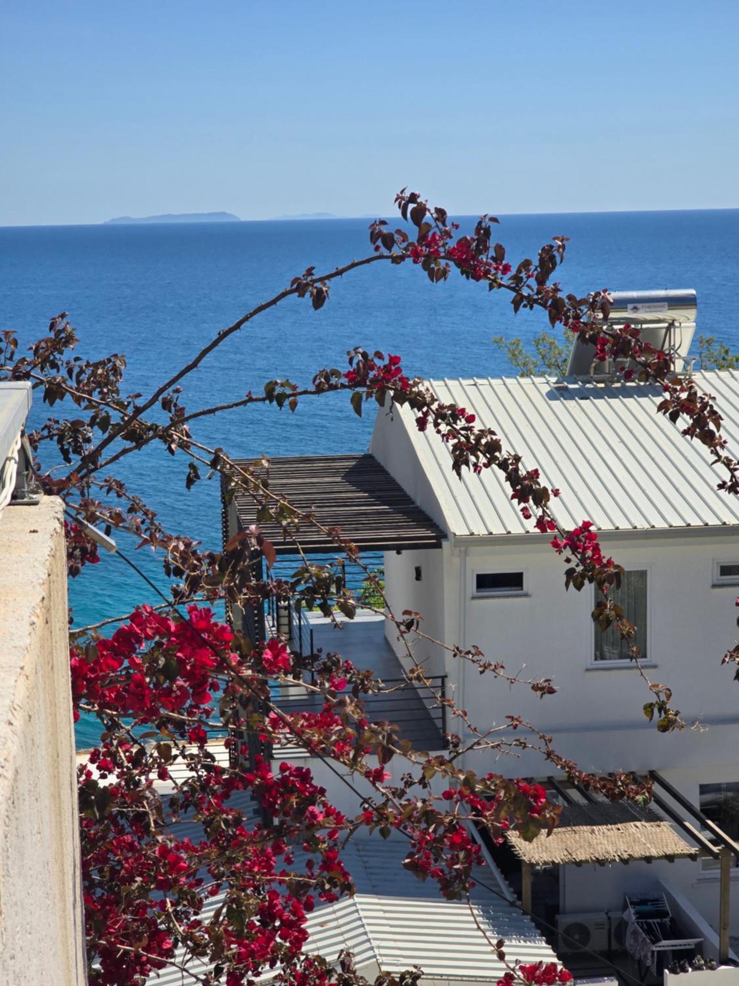 Apartamento Azure Sea View *